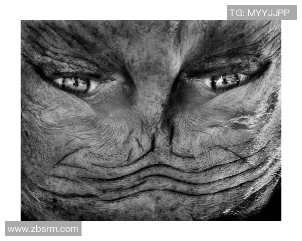 法国足球外星人球星神秘面貌揭晓 超乎想象的魅力与技艺